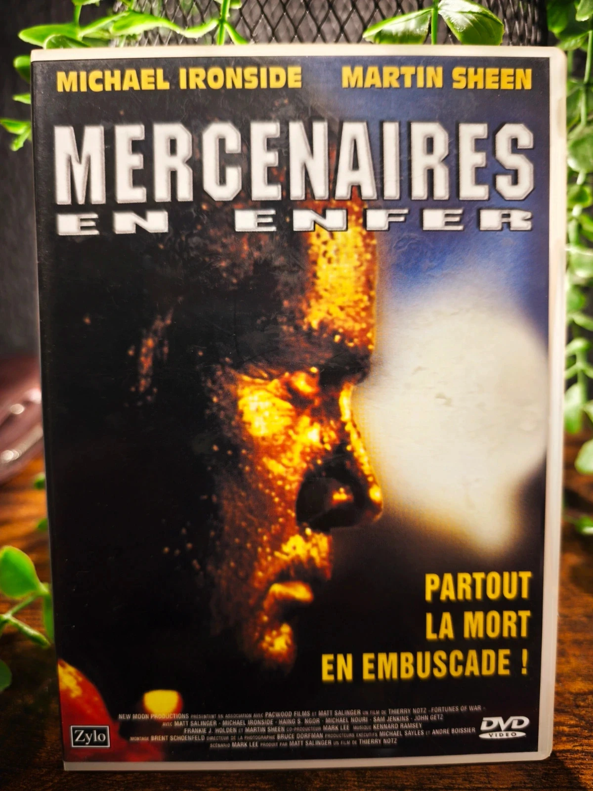 Mercenaires en enfer